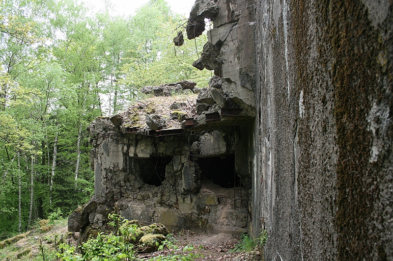 Original image